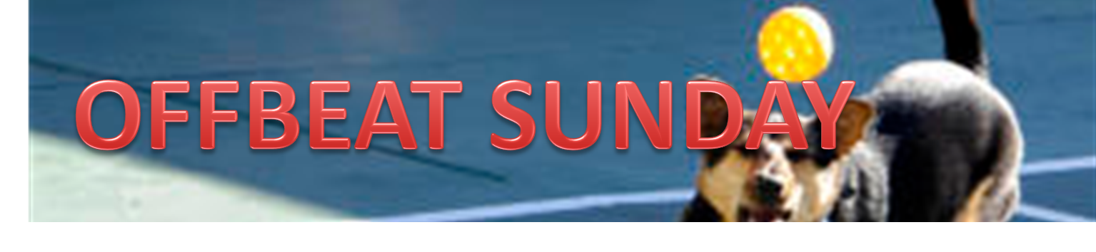 Cucumber clipart pickleball. A life offbeat sunday