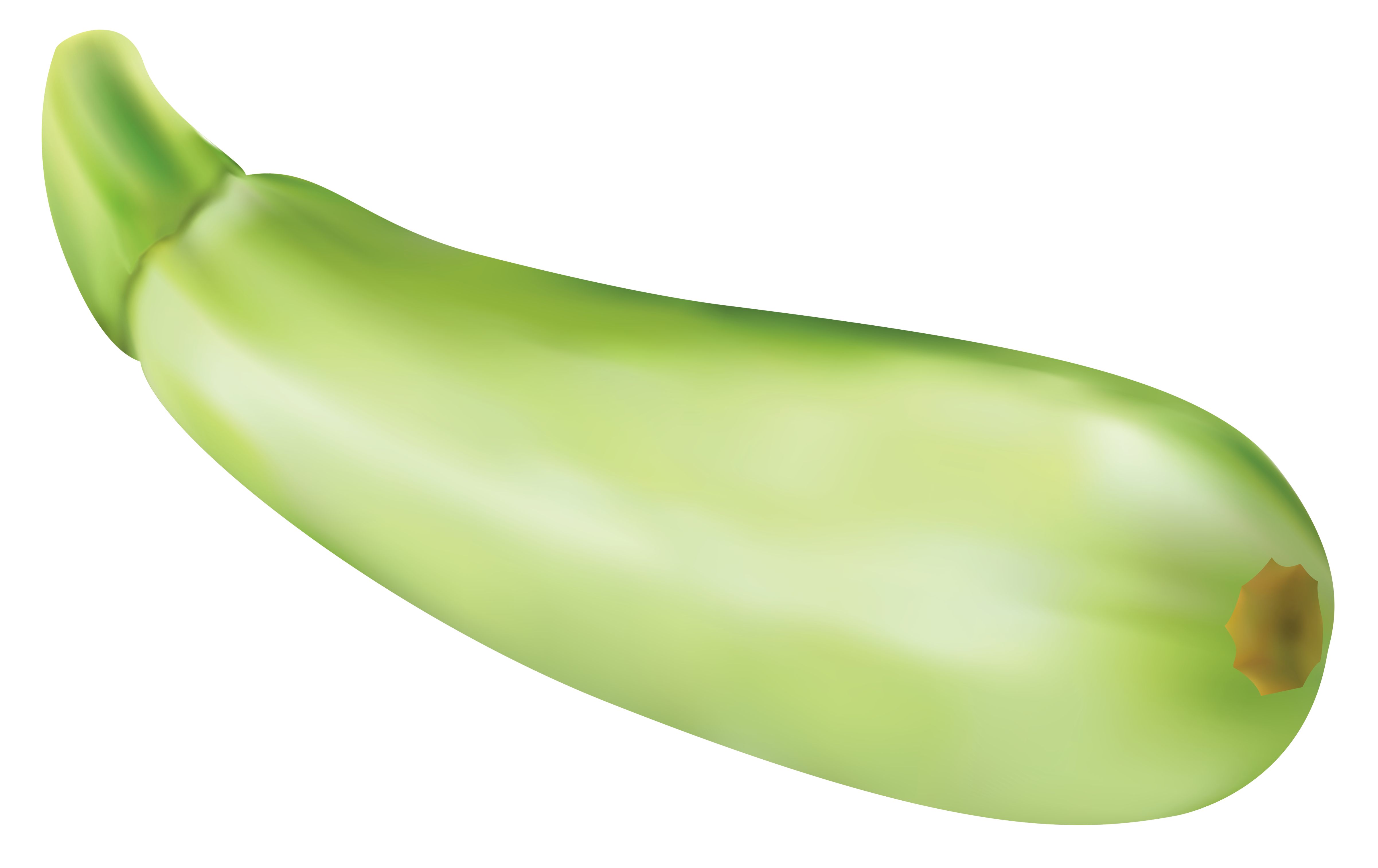 cucumber clipart pipino