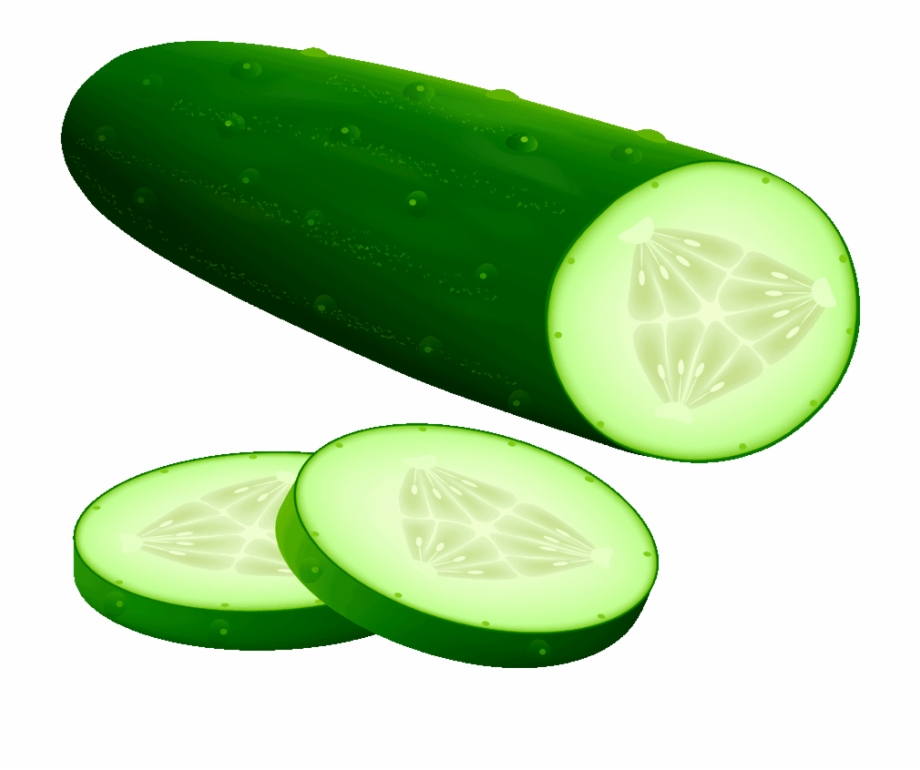 cucumber clipart single vegetable