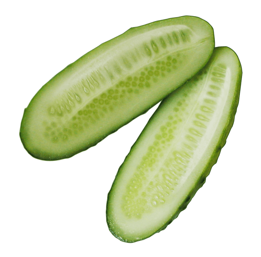 cucumber clipart sliced