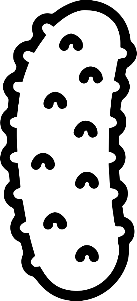 Cucumber clipart svg. Png icon free download