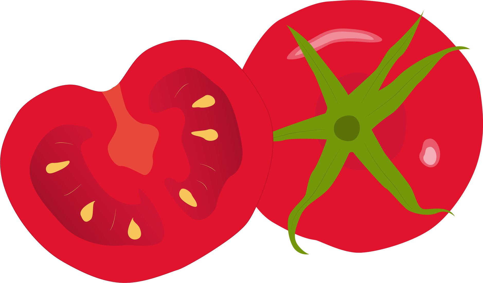 tomatoes clipart local