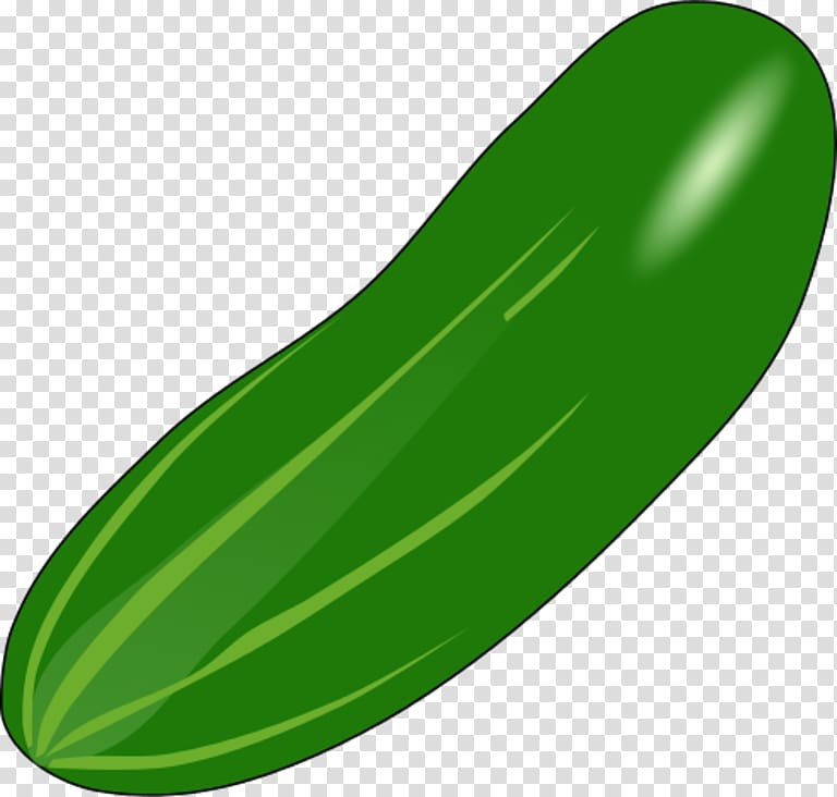 Vegetable png . Cucumber clipart transparent background