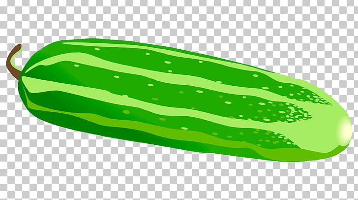Pickled vegetable png clip. Cucumber clipart veg