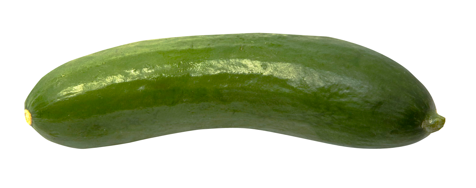 Cucumber clipart winter melon. Png image purepng free