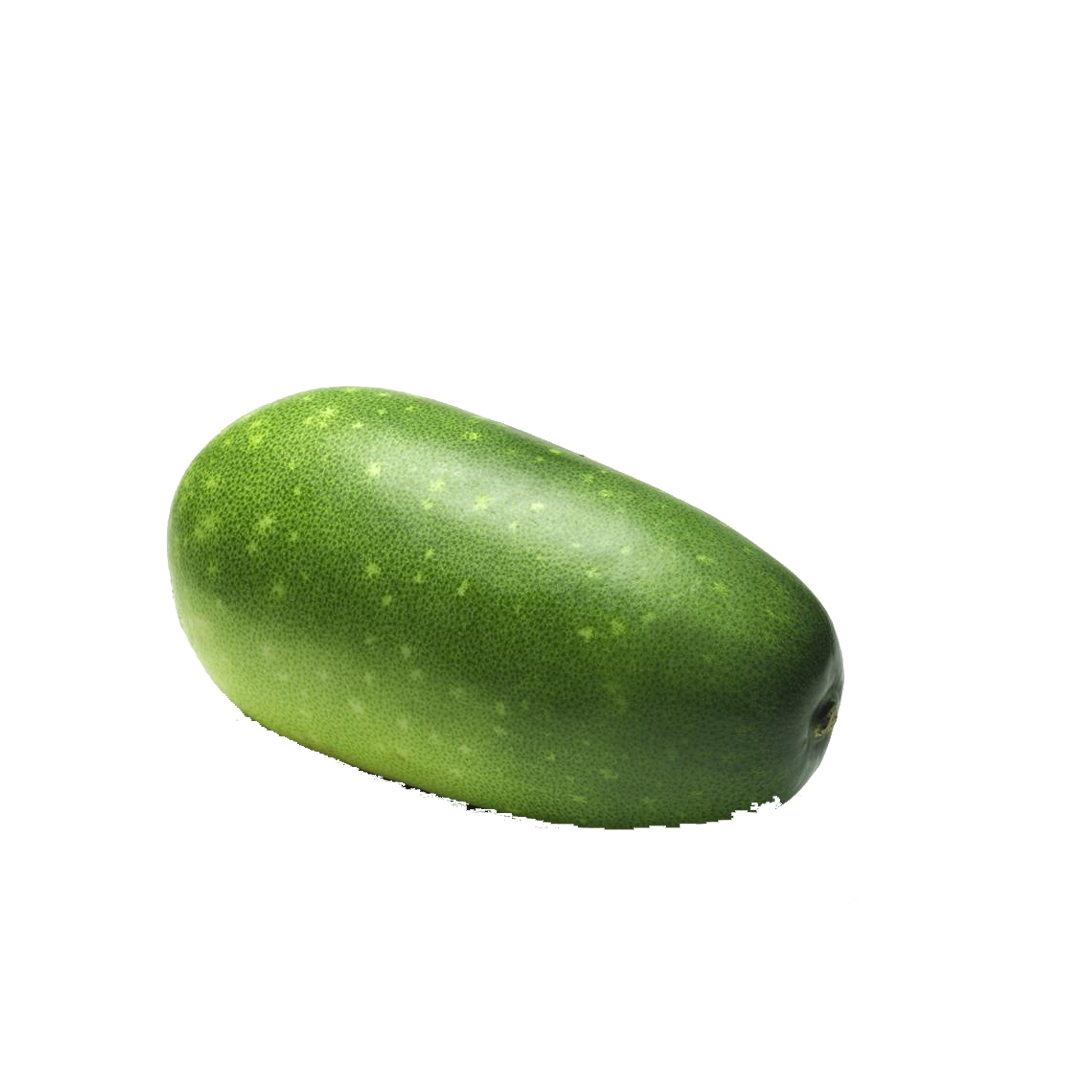 Cucumber cantaloupe wax melon. Watermelon clipart bitter gourd