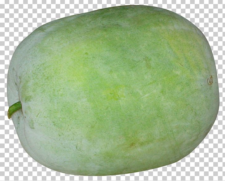 Cucumber clipart winter melon. Watermelon wax gourd png