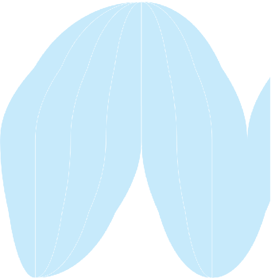 culture clipart human migration