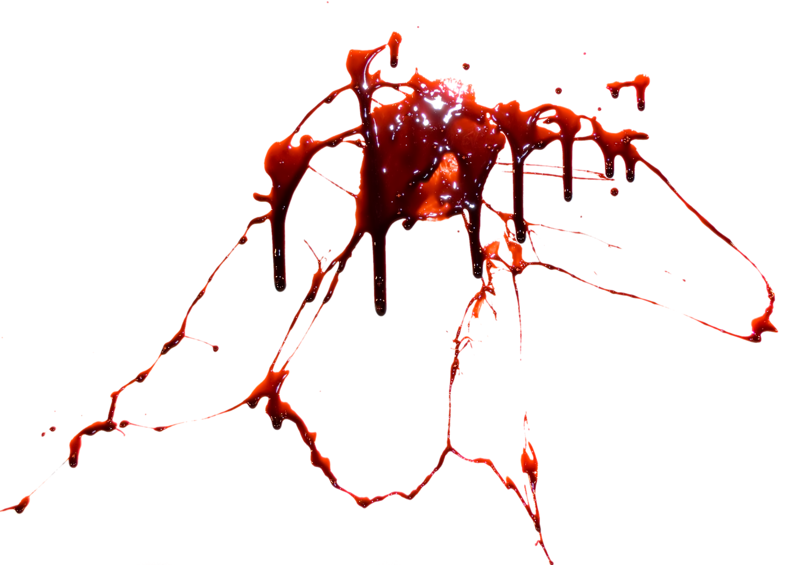 Splatter fifty one isolated. Bullet hole blood png
