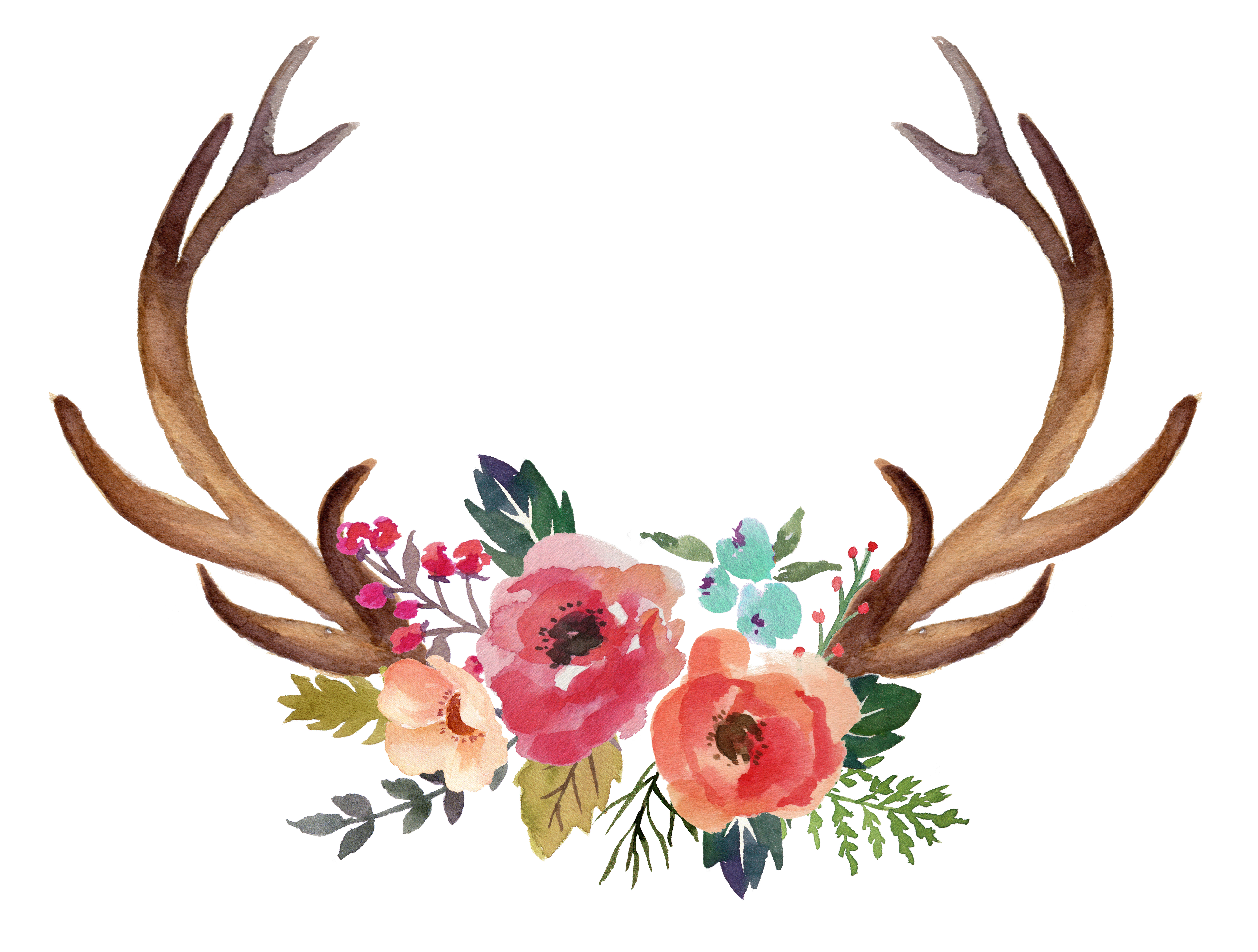 Horn clipart antler. Deer moose flower clip