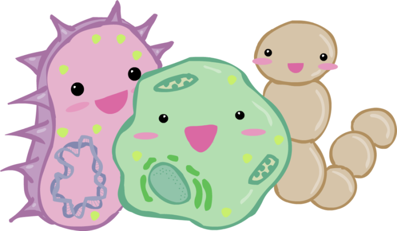 Germs clipart cute, Germs cute Transparent FREE for download on