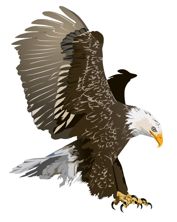 cute clipart eagle