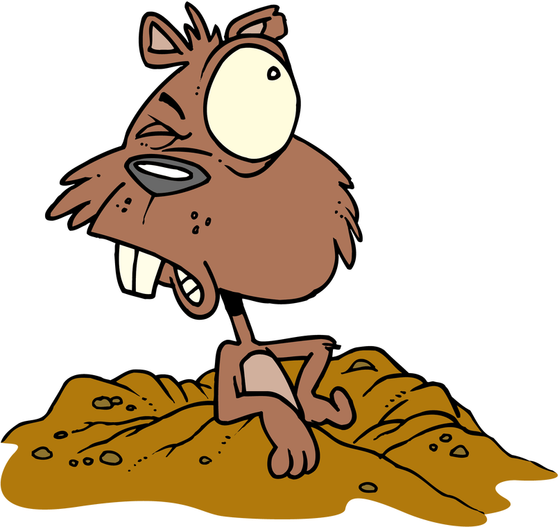 february clipart groundhog hole