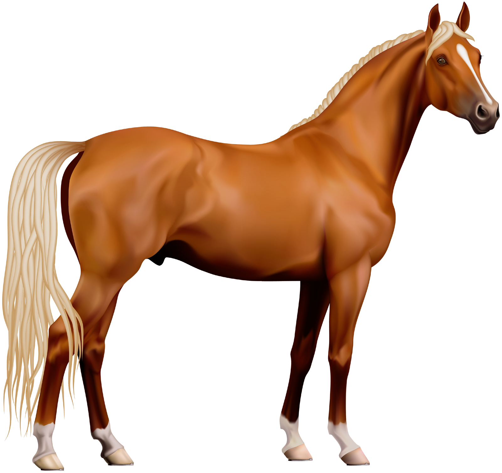 Horse png images free. Horses clipart colourful