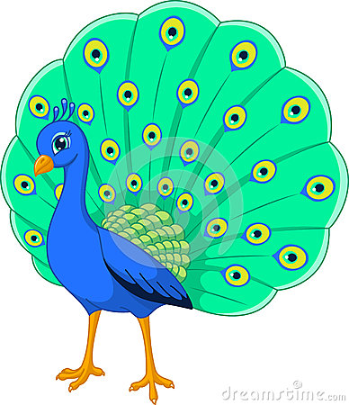 peacock clipart teal