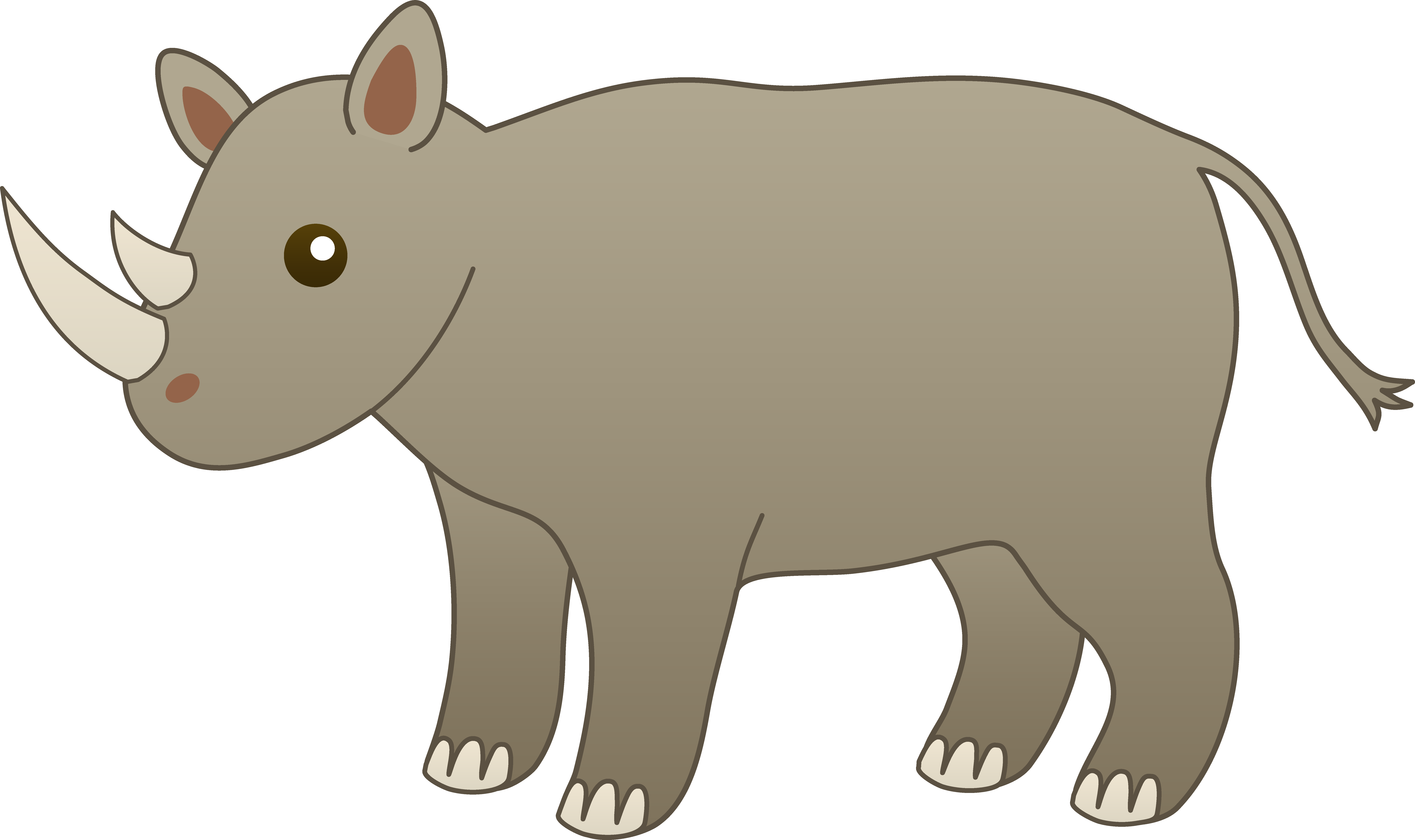 rhinoceros graphics