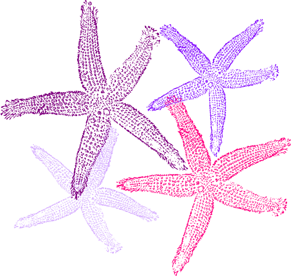 Kawaii clipart starfish. Prints purplish clip art
