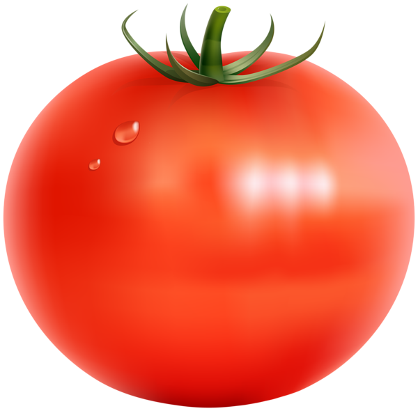 tomatoes clipart happy tomato