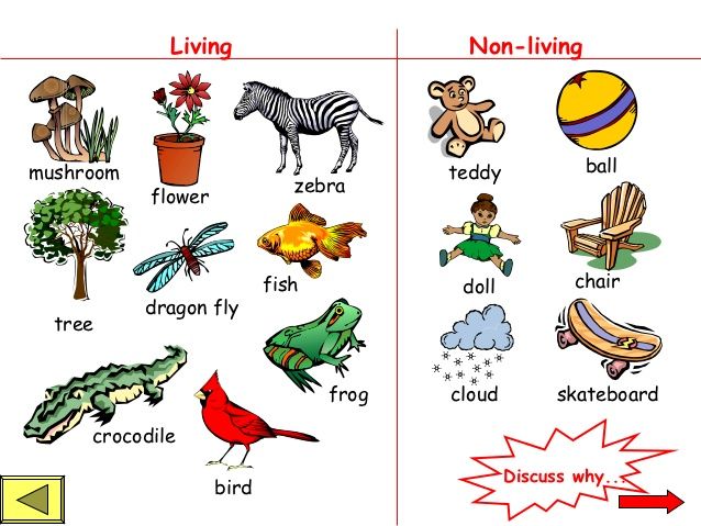 Cycling non living x. Website clipart nonliving thing