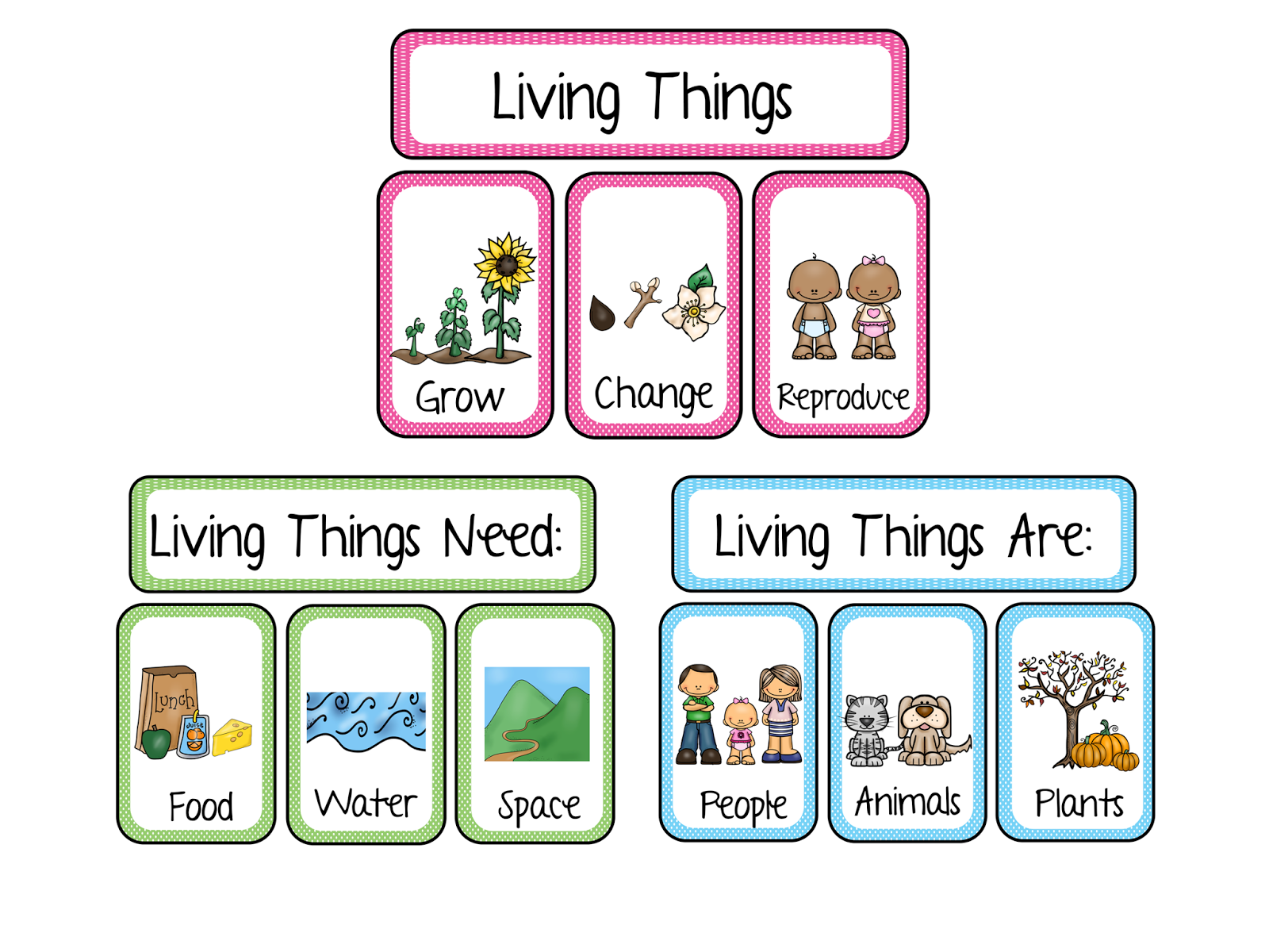 Cycle clipart living thing. Copy of plants and
