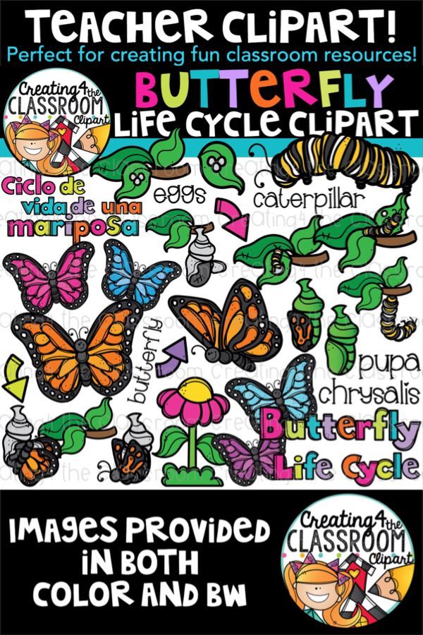 cycle clipart pop