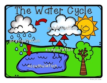 Evaporation clipart water cycle. Poster classroom display and