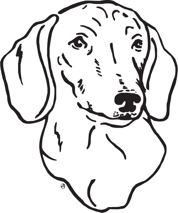 dachshund clipart black and white