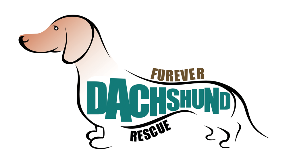 Welcome bluebrown logo. Dachshund clipart brown dachshund
