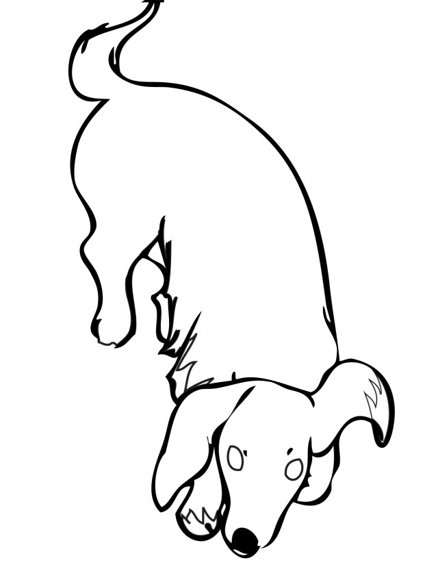 dachshund clipart coloring