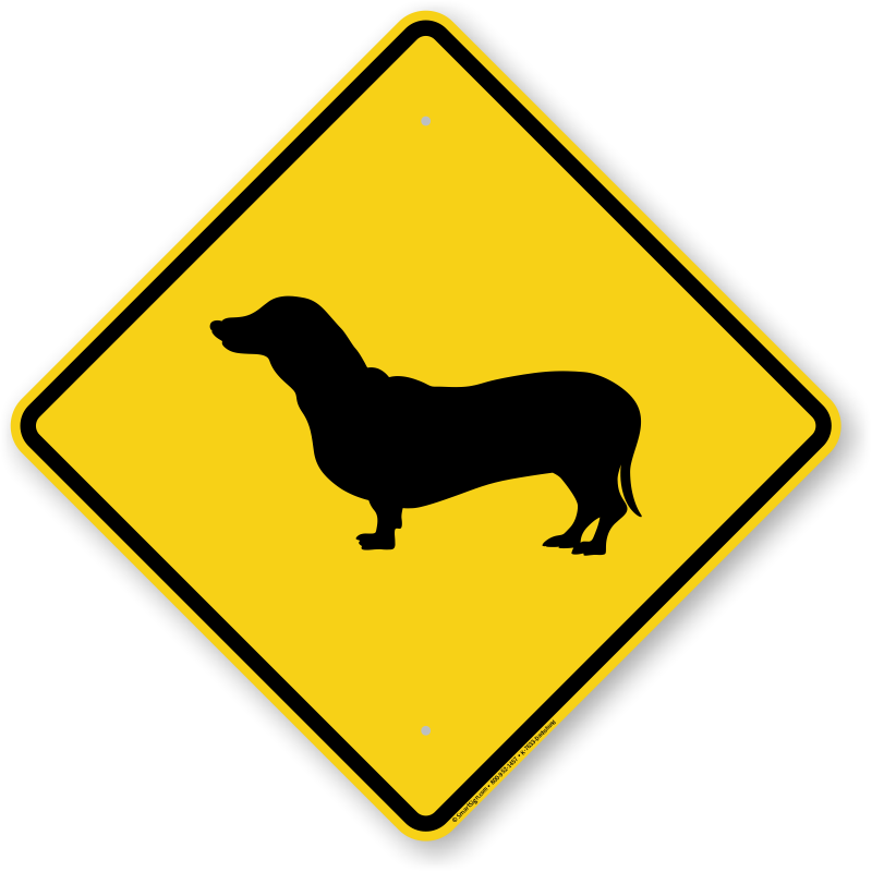 dachshund clipart long dog