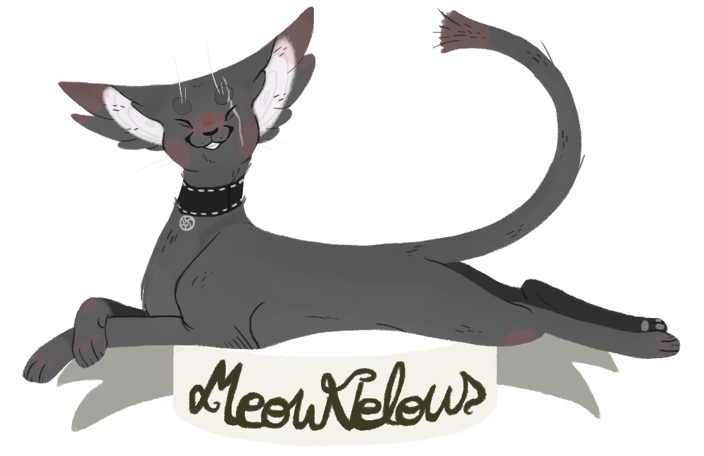 Punny cat shion deviantart. Dachshund clipart profile