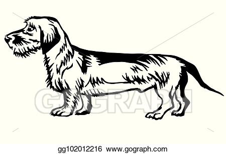 Dachshund clipart profile. Vector decorative standing portrait