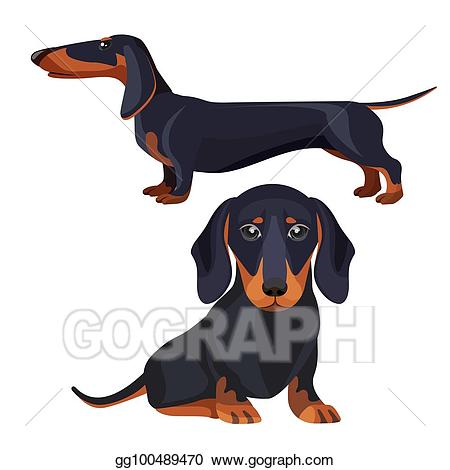 Vector illustration dog with. Dachshund clipart profile