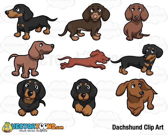 Dachshund clipart vector. Clip art digital graphics