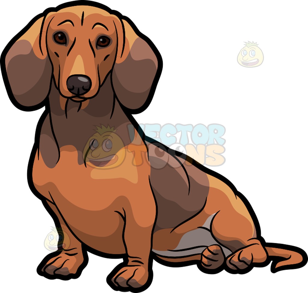 Dachshund clipart vector. Dog free download best