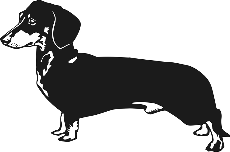 dachshund clipart weiner dog