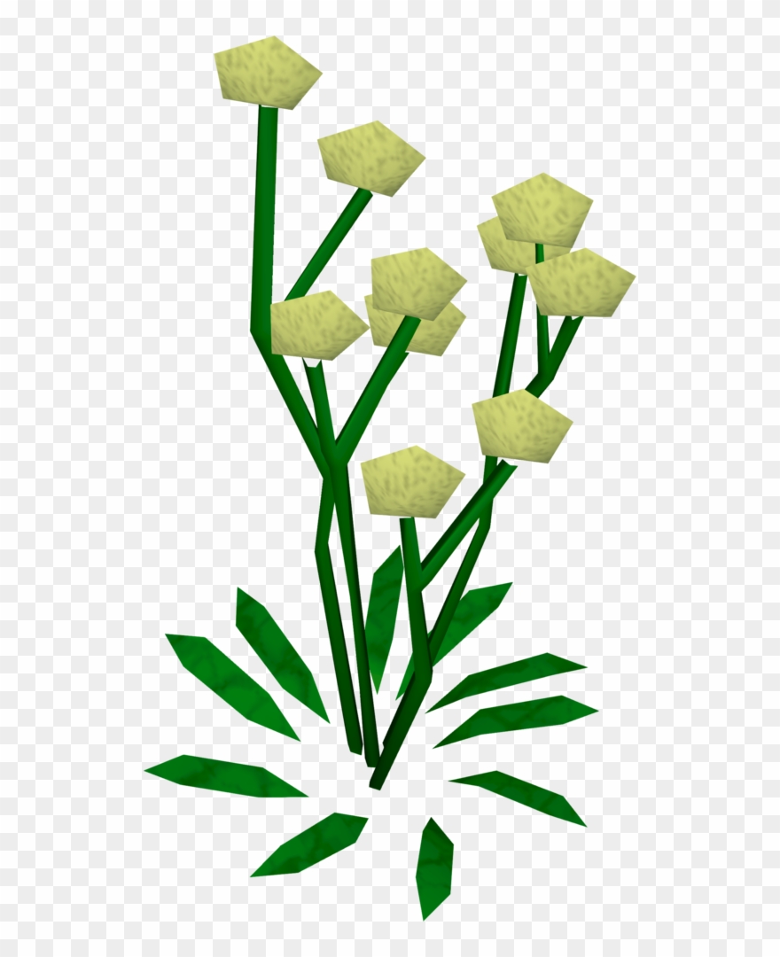 daffodil clipart big flower