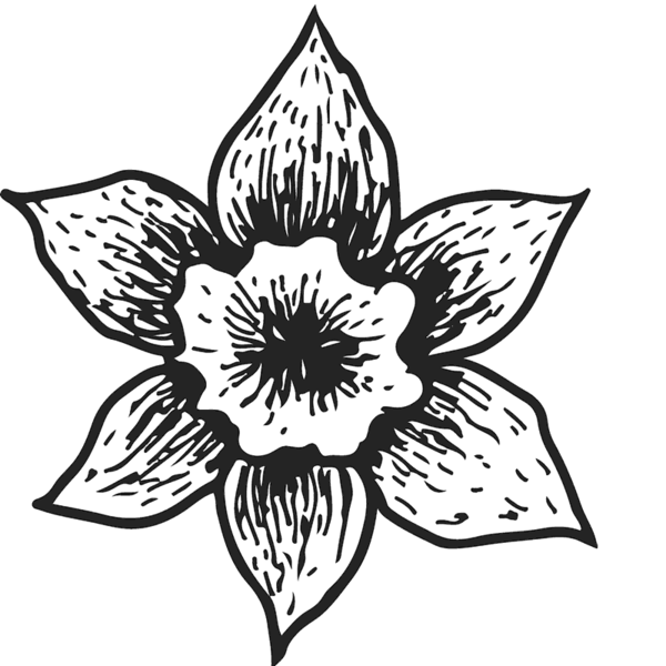 Flower leaf stamps page. Daffodil clipart black and white