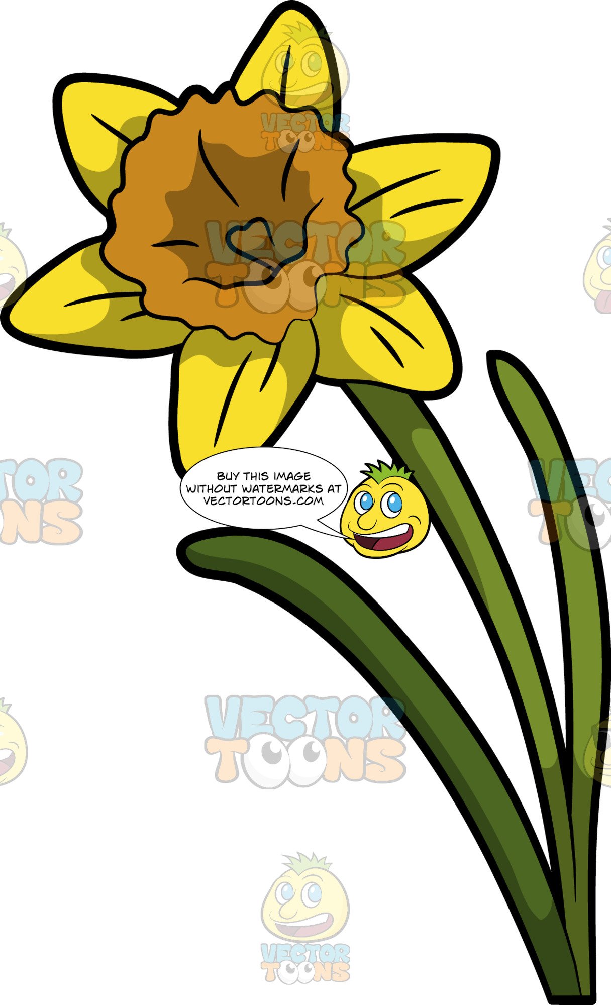daffodil clipart bloom