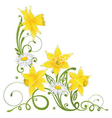 daffodil clipart border