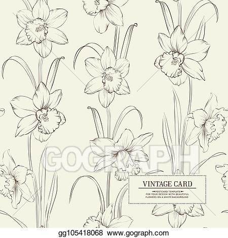 Vector of . Daffodil clipart botanical illustration