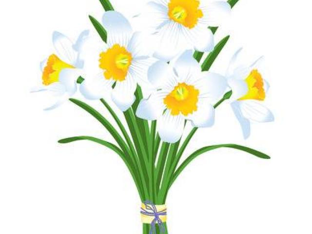 Daffodil clipart bunch. Free download clip art