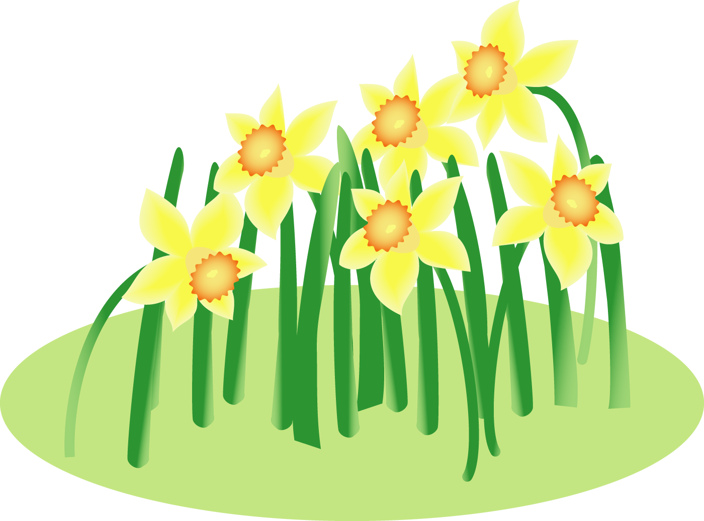 Floral design wild cut. Daffodil clipart bunch