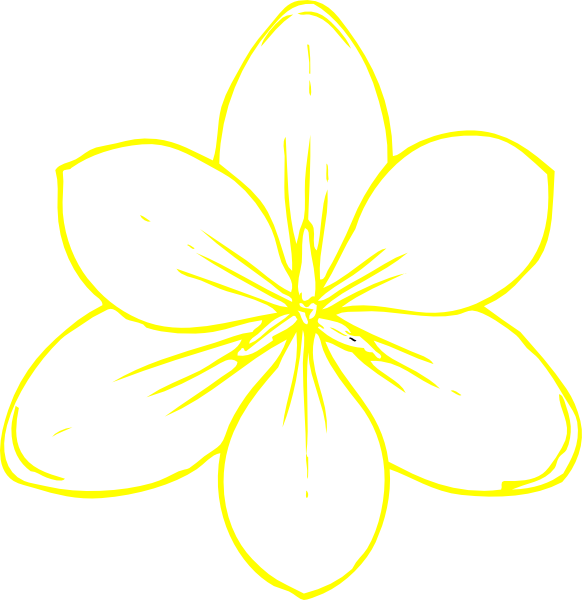 Daffodil buttercup flower