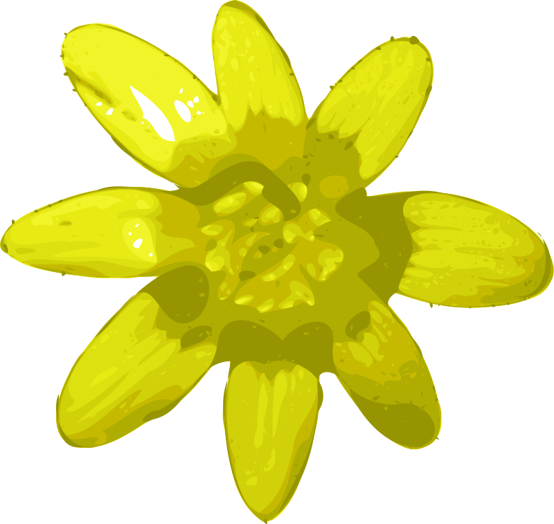 Daffodils png transparent images. Daffodil clipart cancer