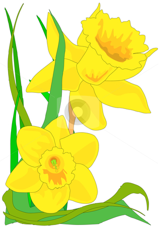daffodil clipart cartoon