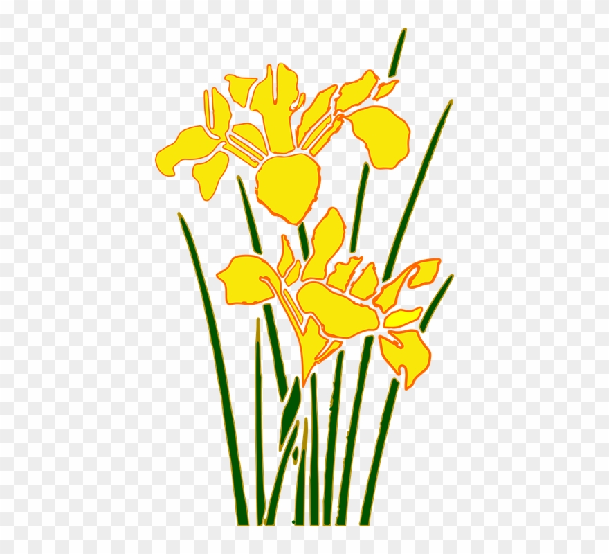 daffodil clipart cartoon