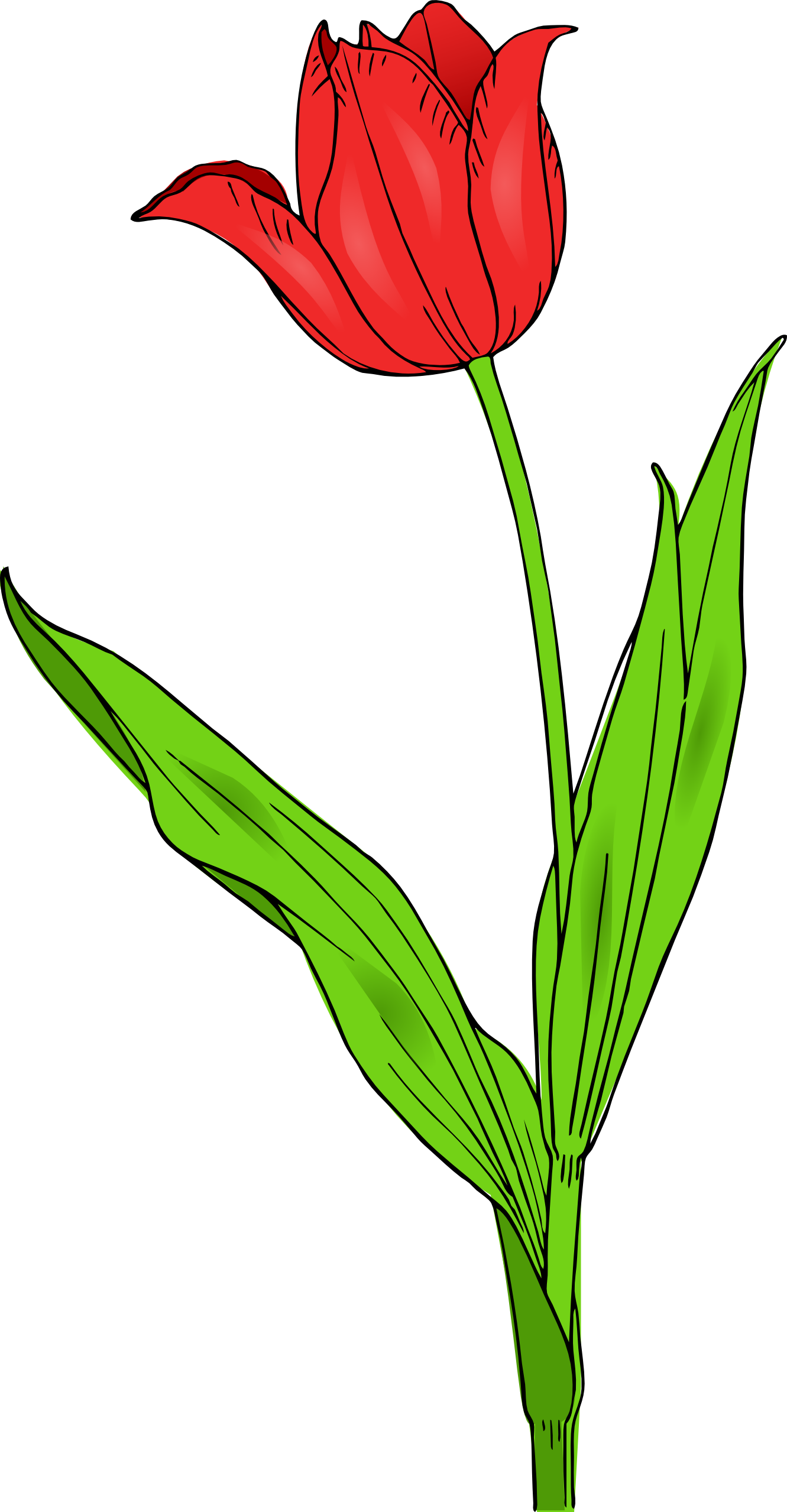 Eleletsitz tulip black and. Daffodil clipart clip art