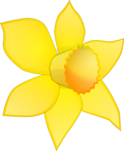 Daffodil clipart clip art. Image stripped at clker