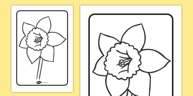 daffodil clipart colouring page